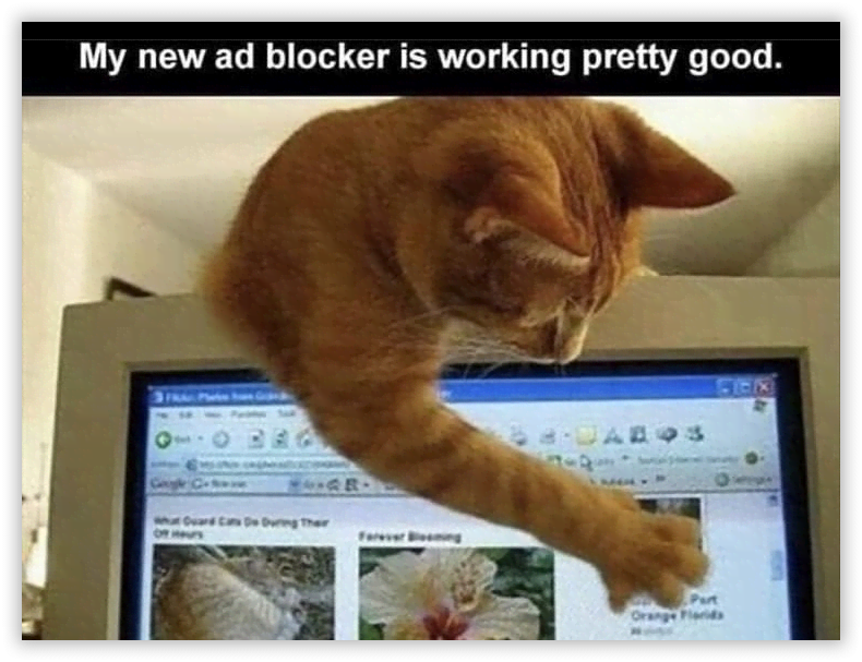 Cat Blocker